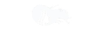 Studio Image Logo